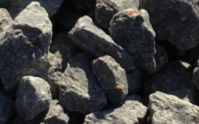 Latest Product Highlights